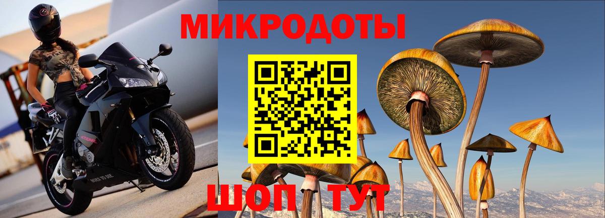 Воронеж  Галлюциногенные грибы прущие грибы  Псилоцибиновые грибы Magic Shrooms  Вход с VPN 