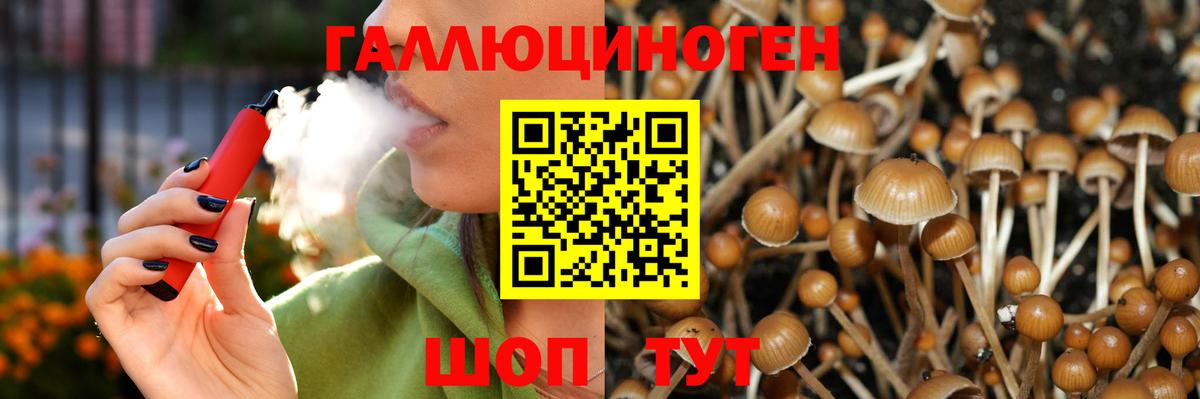 Галлюциногенные грибы Psilocybe Воронеж